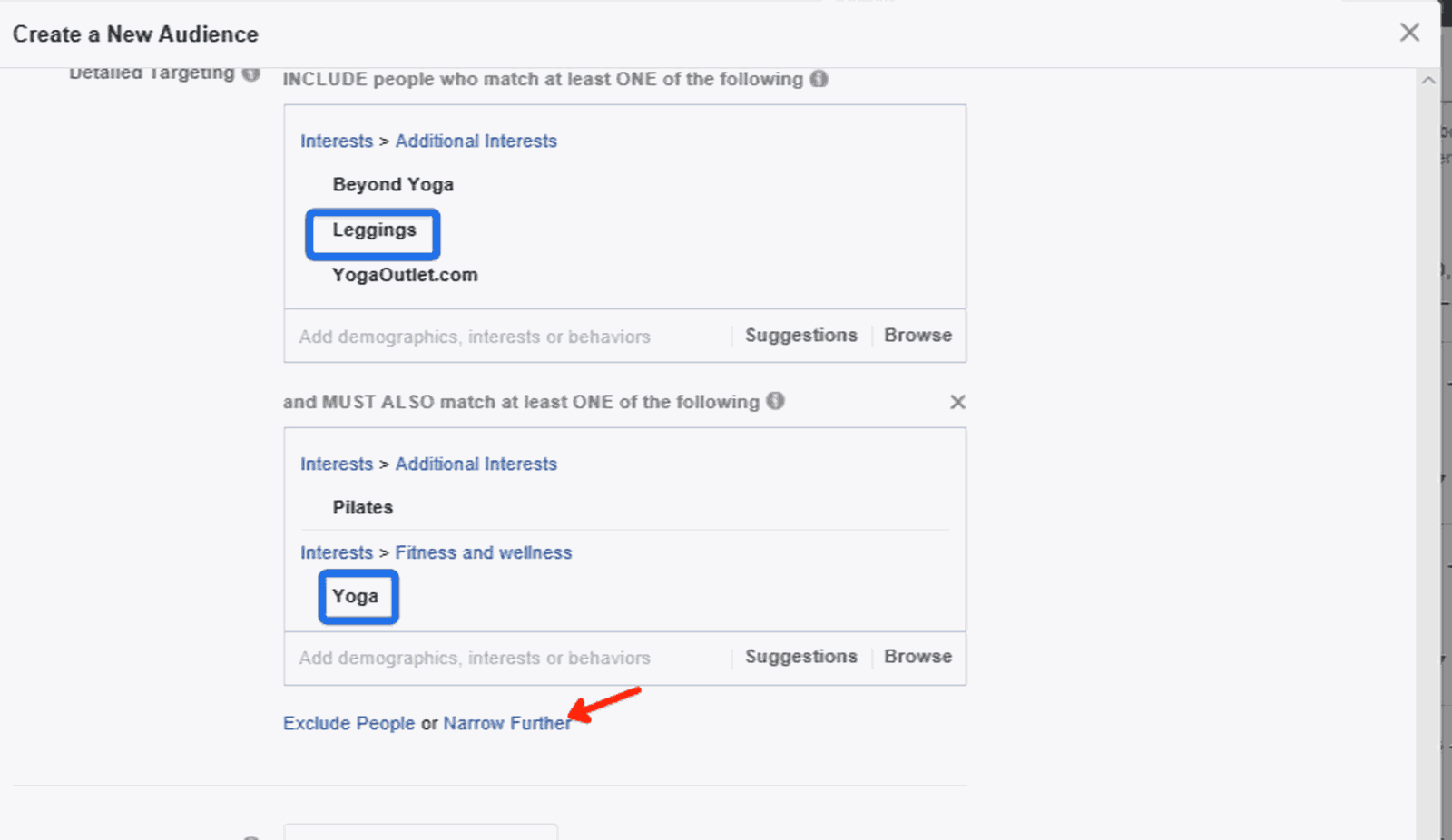 Facebook Audience Size Example